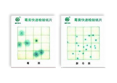 霉菌、酵母菌測試片